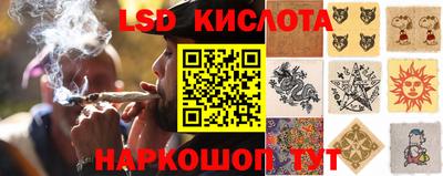 мет Гусев