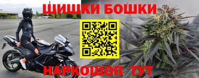 шишки Гусиноозёрск