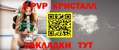 шишки Гусиноозёрск
