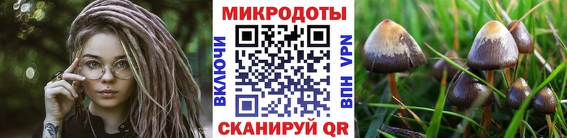 дарк нет как зайти  мега зеркало  Звенигород  Галлюциногенные грибы GOLDEN TEACHER 