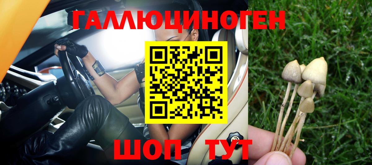 Псилоцибиновые грибы Magic Shrooms  Звенигород  Псилоцибиновые грибы мухоморы 