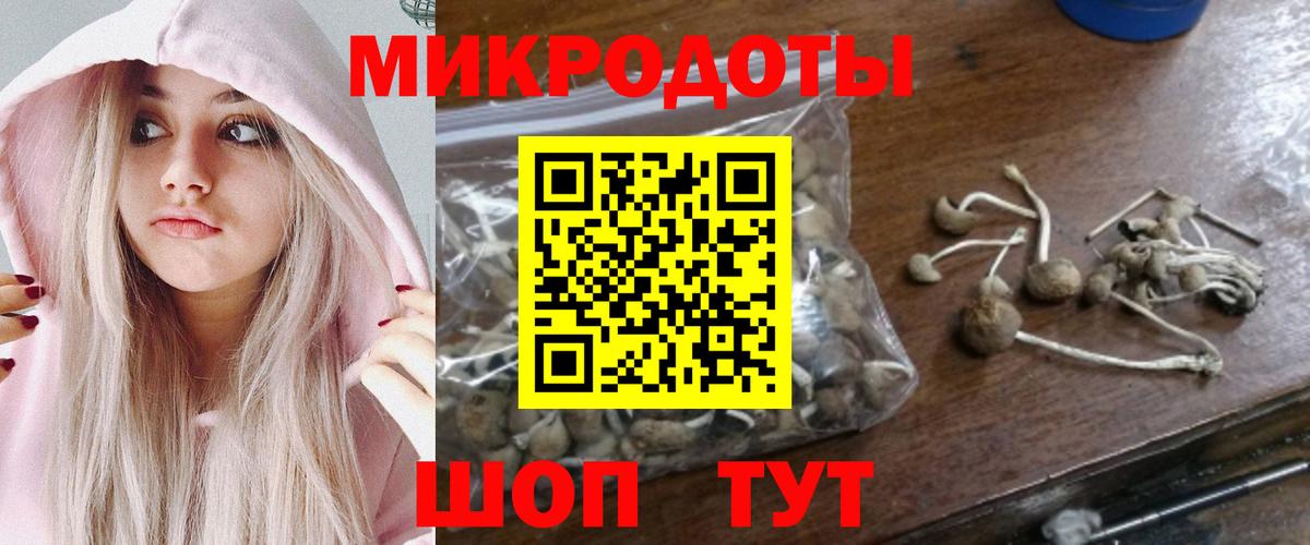 Галлюциногенные грибы Magic Shrooms Звенигород
